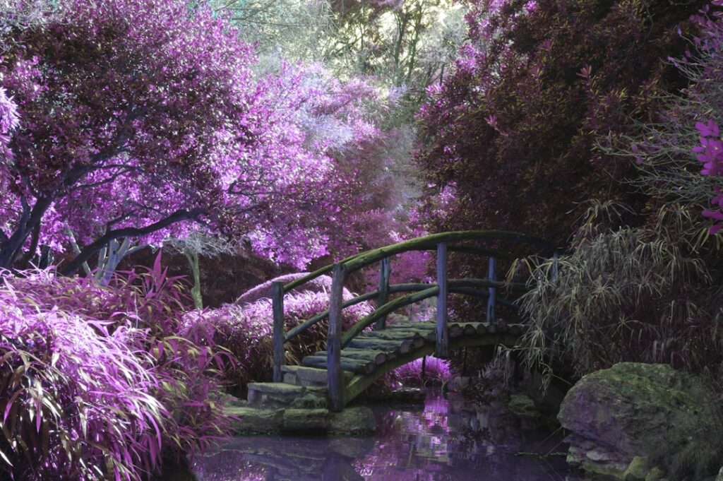 Photo Memorial garden