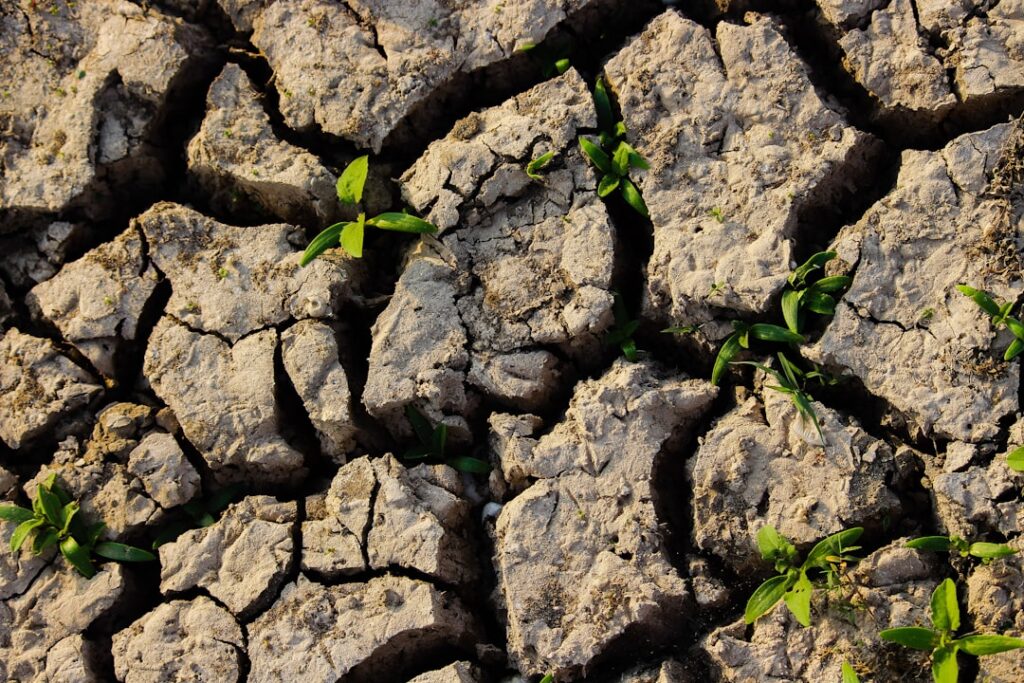 Photo Soil conservation