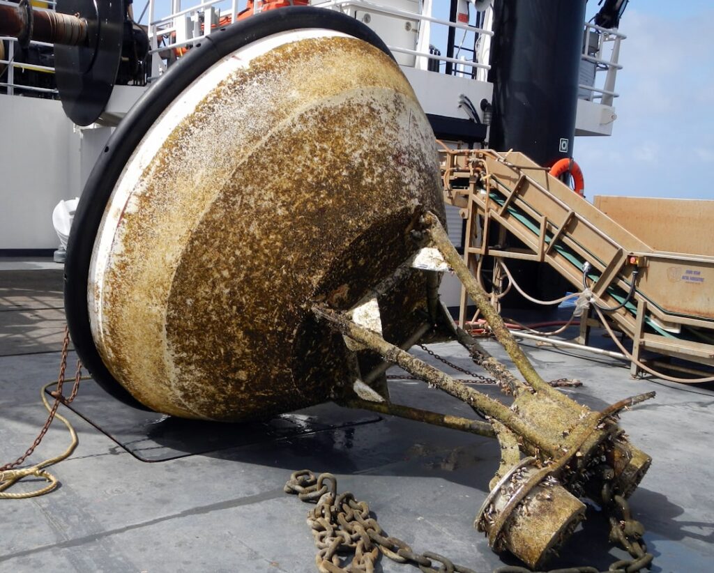 Photo Climate Action Window