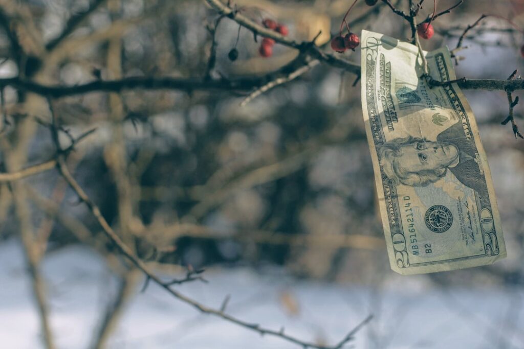 Photo Diaspora Investment