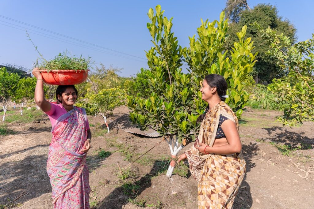 Photo Farmers harvesting
