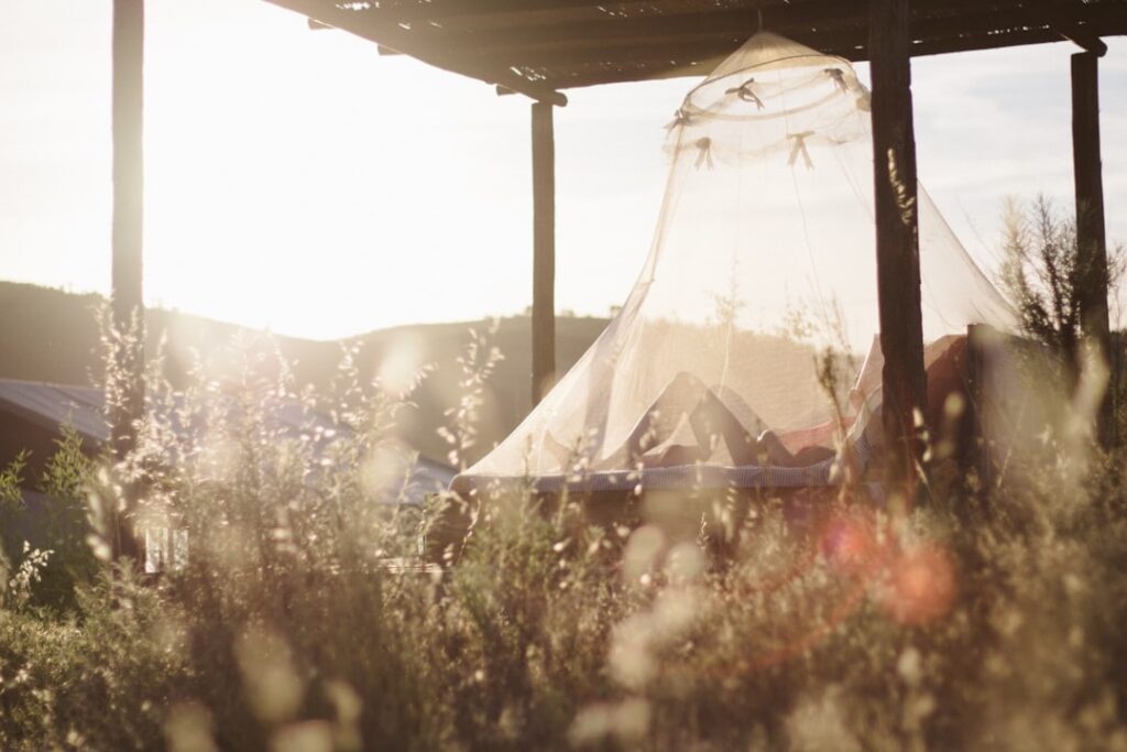 Photo Mosquito net