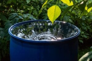 Catalytic Climate Finance Facility (CC Facility) Initiative 2025