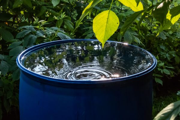 Catalytic Climate Finance Facility (CC Facility) Initiative 2025