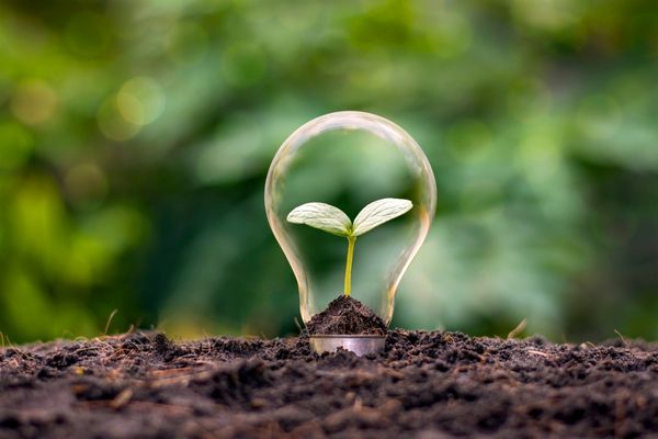 TEA launches Technical Assistance Facility Program 2025