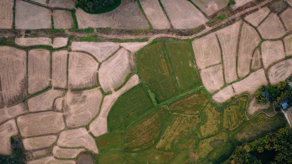 Photo Sustainable farming