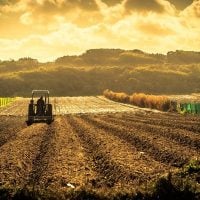 CFPs: European Agricultural Methods and Food Products, and Quality Schemes