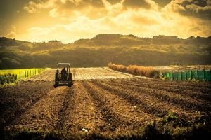 CFPs: European Agricultural Methods and Food Products, and Quality Schemes