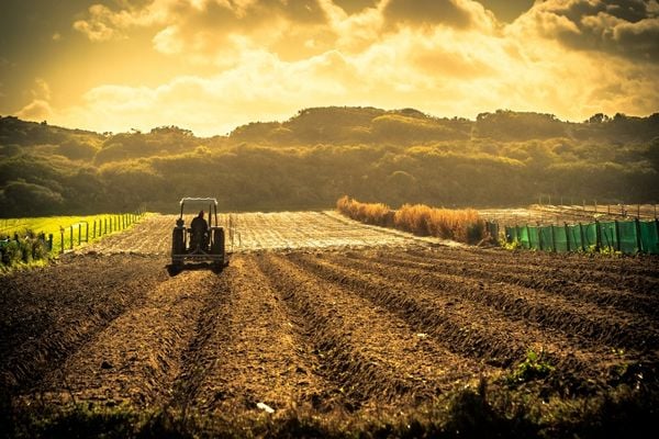 CFPs: European Agricultural Methods and Food Products, and Quality Schemes