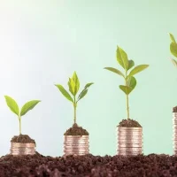 Open Call: Program Support Grants (United States)