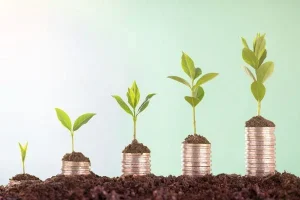Open Call: Program Support Grants (United States)