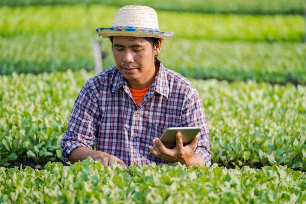 Call for Proposals: Support for Simple Programmes