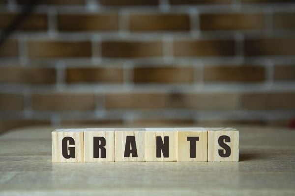 US: Capacity Building Grant for Small Nonprofits ($20,000 Unrestricted Grant)