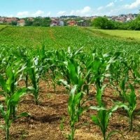 Union Quality Schemes or Merits of Union Agricultural Products Programme
