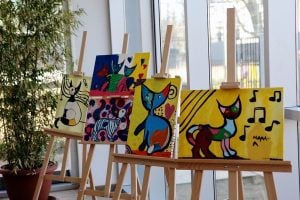 Applications open for Creative Communities Fund (New Zealand)