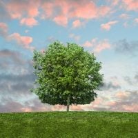 CFPs: The Minor Foundation for Major Challenges Grant Program