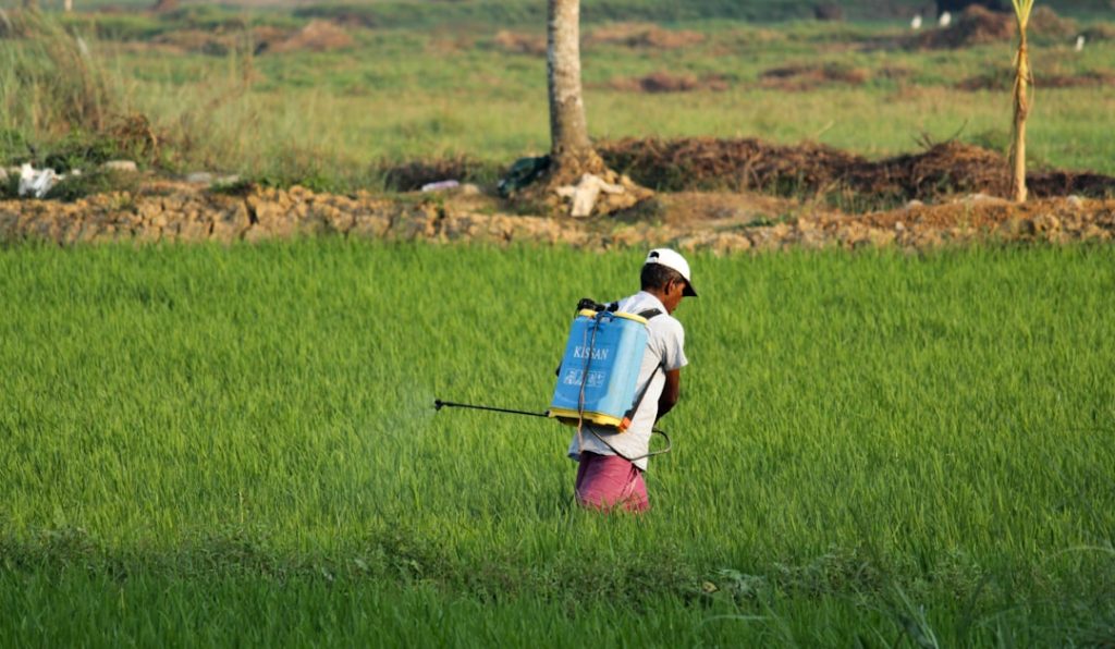 Photo Farmers planting crops