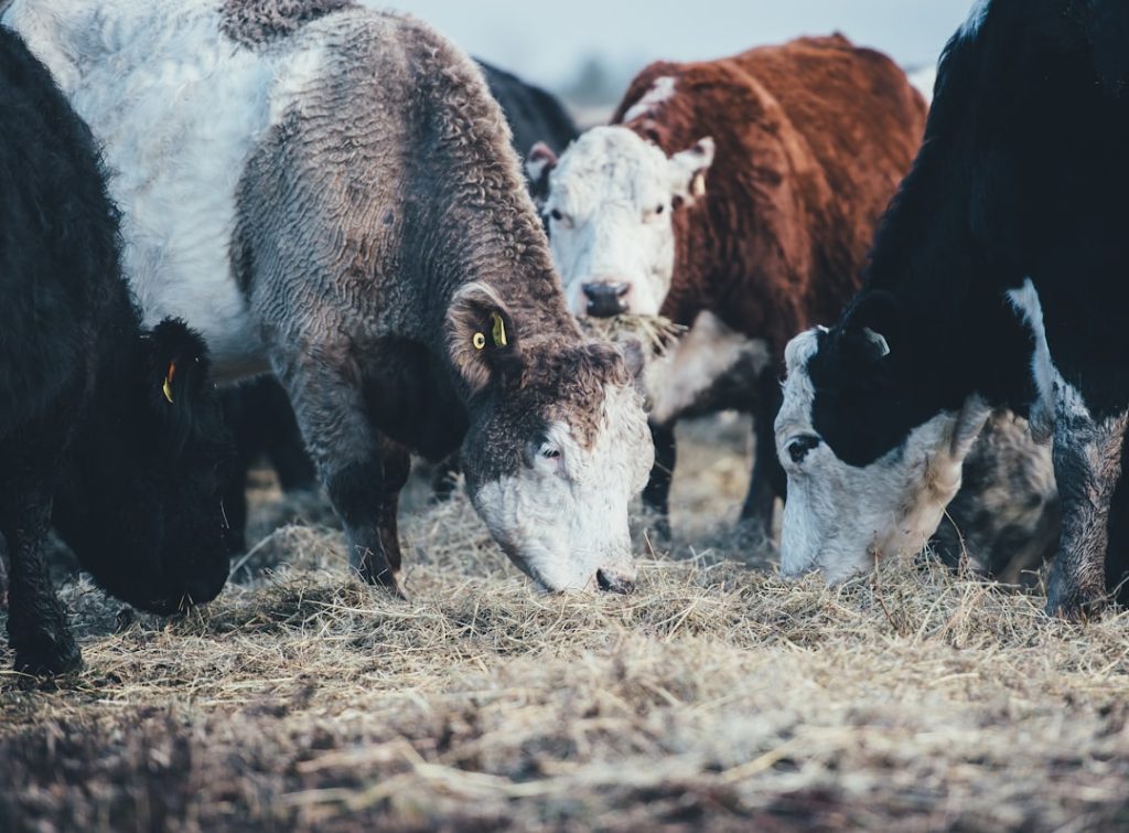Photo Agricultural grant