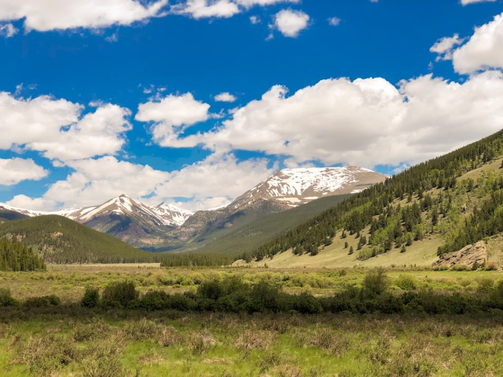 Photo Grant proposal template