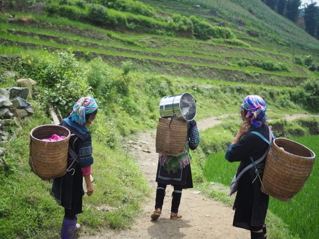Photo Women farming
