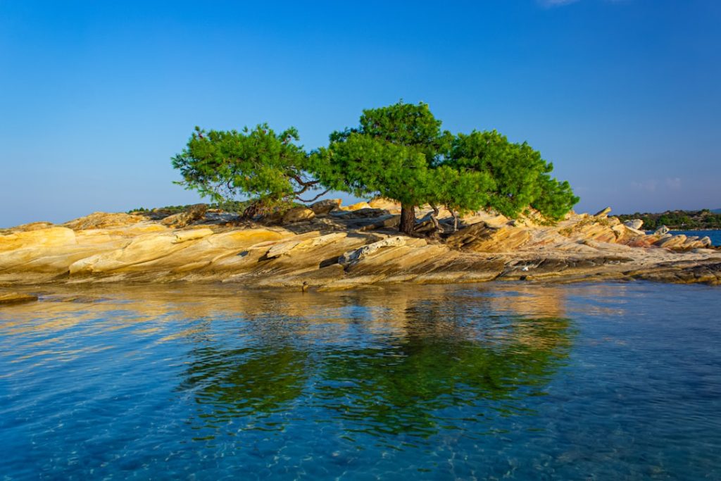 Photo Nature photography