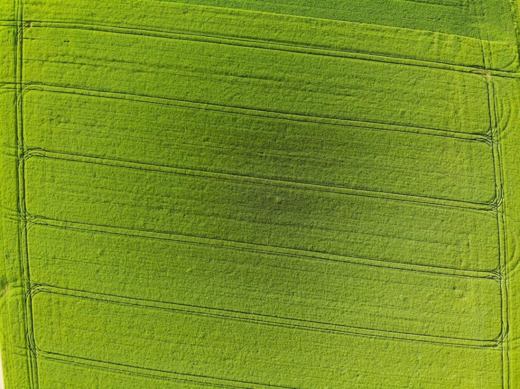 Photo Green Grants