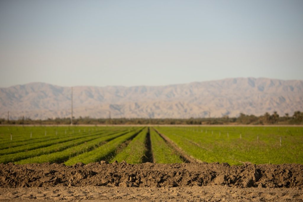 Photo Sustainable agriculture