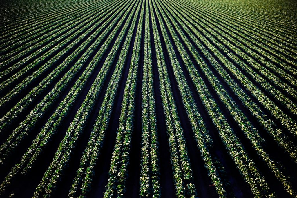 Photo Farm field