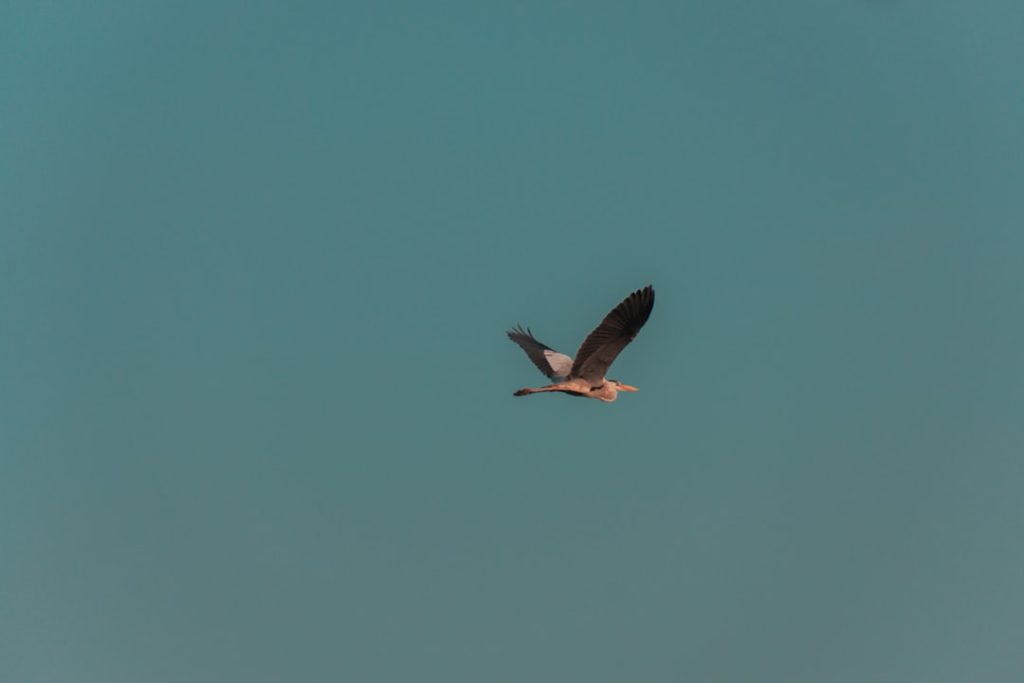 Photo Nature reserve