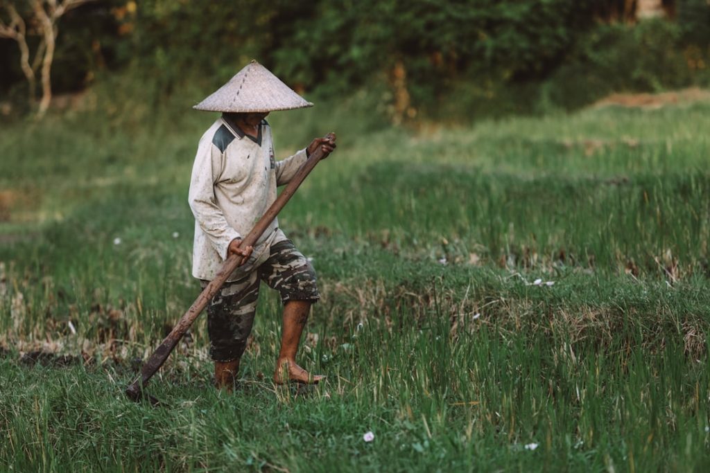 Photo Farmers planting crops