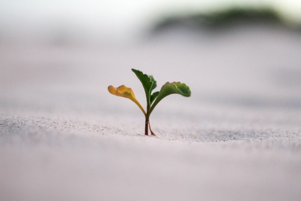 Photo Economic Growth