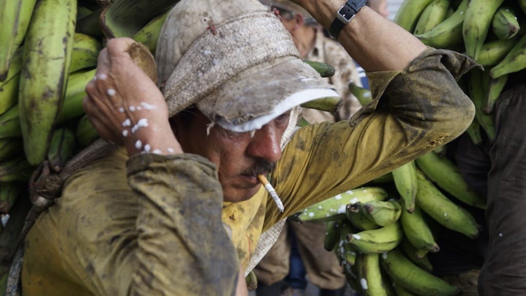 Photo Farmers working