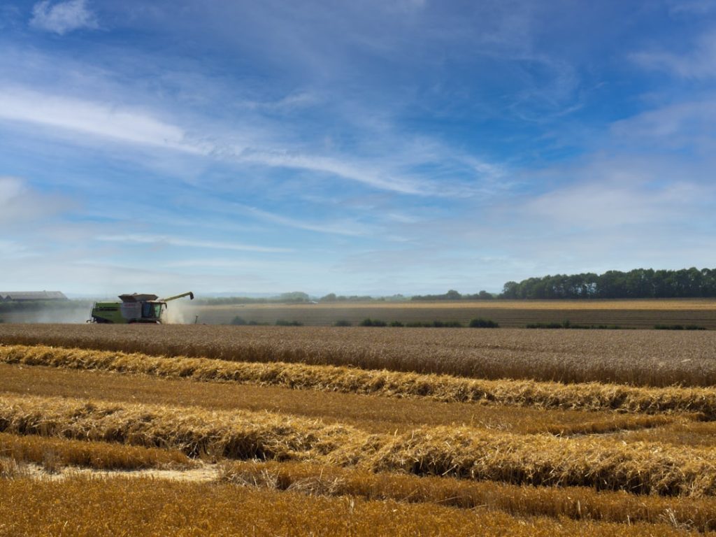 Photo Harvesting crops