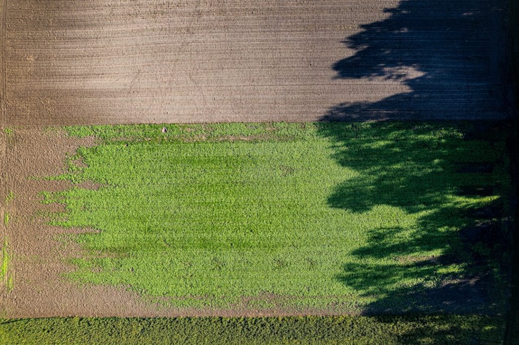Photo Agricultural field