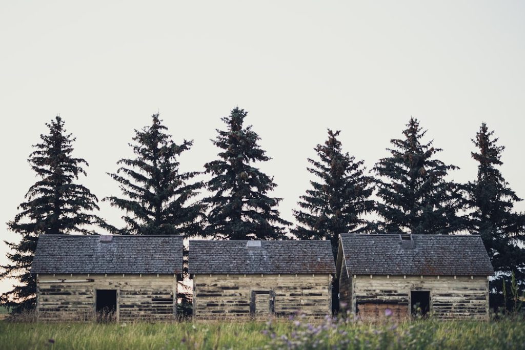 Photo Rural transformation