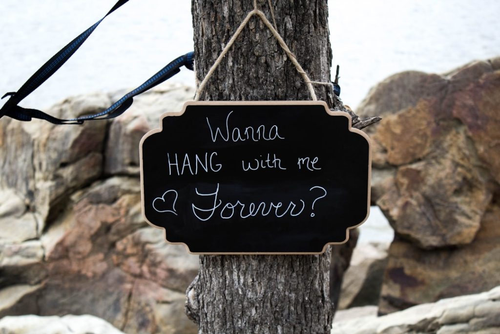 Photo Proposal template