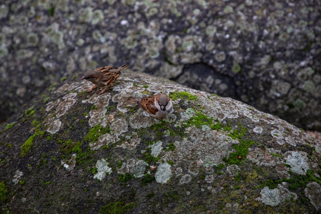 Photo Nature Reserve