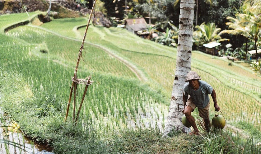 Photo Smart farming