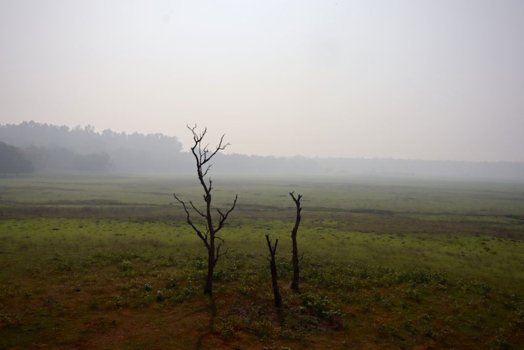 Photo Nature Conservation