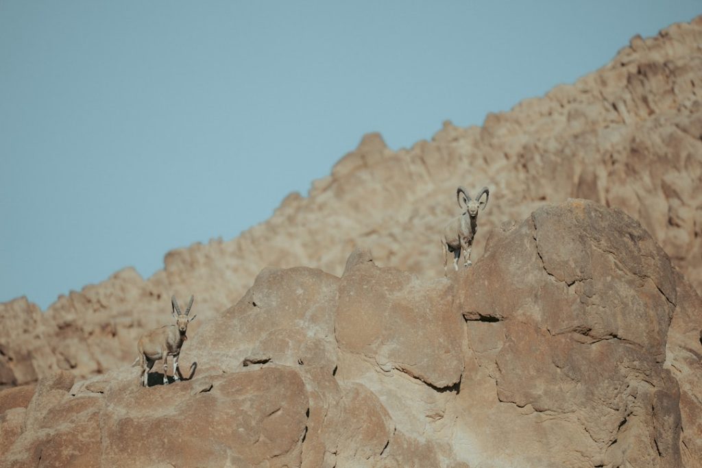 Photo Nature Reserve