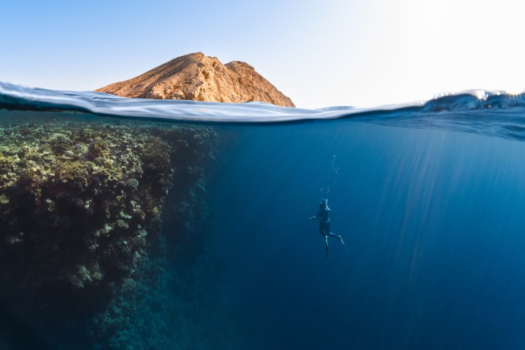 Photo Biodiversity hotspot