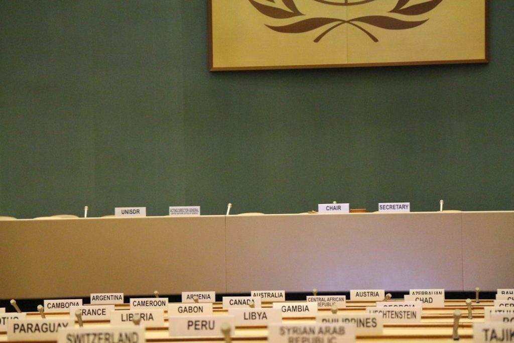 Photo UN General Assembly