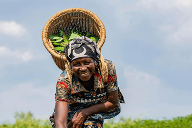 GCBC Research Grant for Climate and Poverty Solutions – Up to £1M in Funding