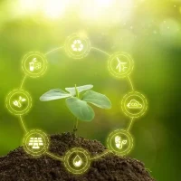 Call for Proposals: Environmental Governance