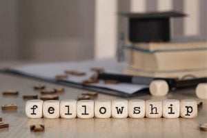 The Alliance for Socially Engaged Arts Fellowship