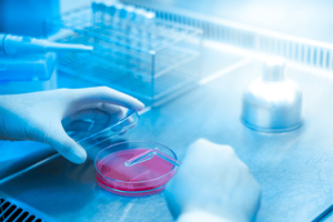 Innovations for Gram-Negative Antibiotic Discovery Challenge 2025