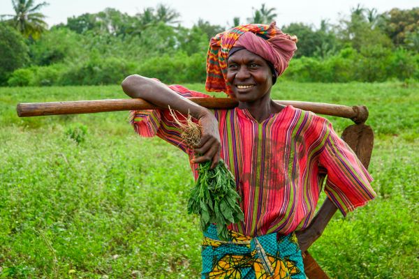 Nominations open for Africa Food Prize 2025