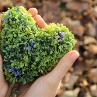 CFPs: Environmental Resilience and Recovery Project in Ukraine
