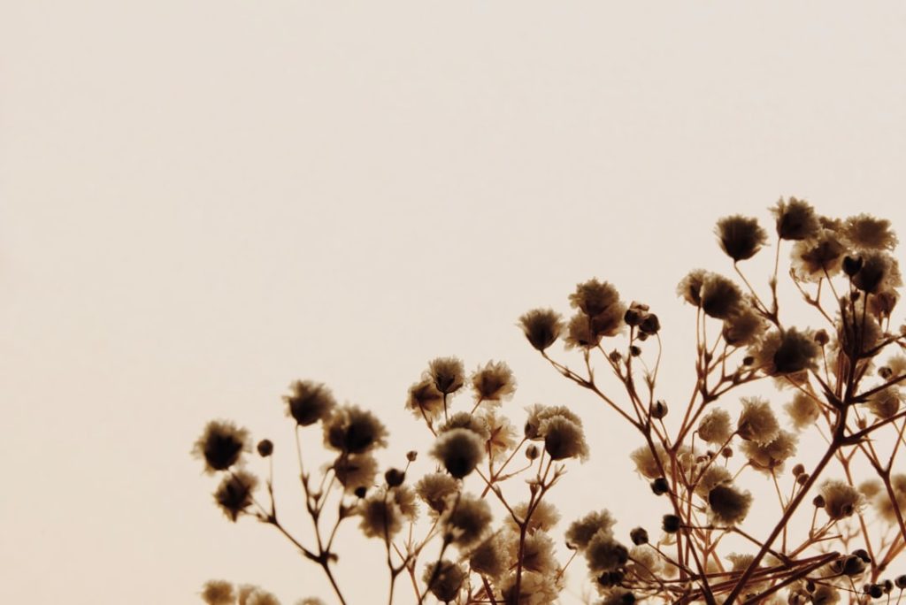 Photo Engaging visuals