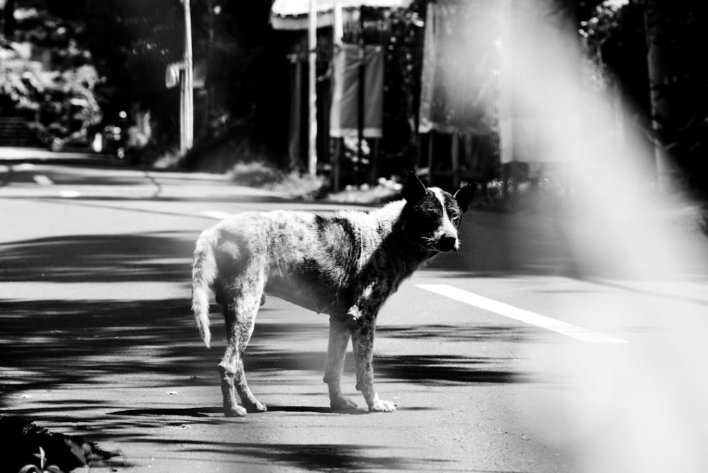 Photo Empathy and compassion